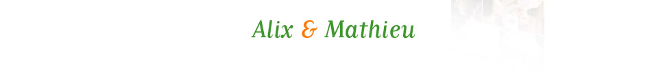 Alix et Mathieu se marient !