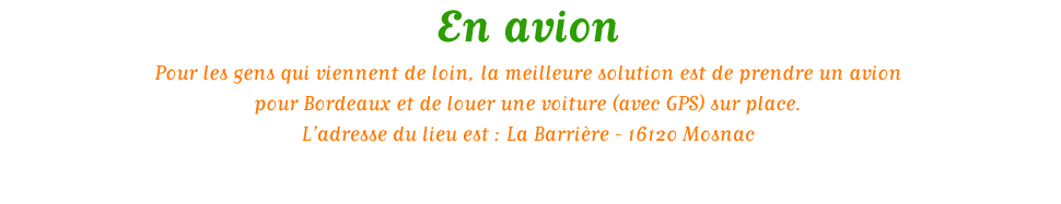 Alix et Mathieu se marient !