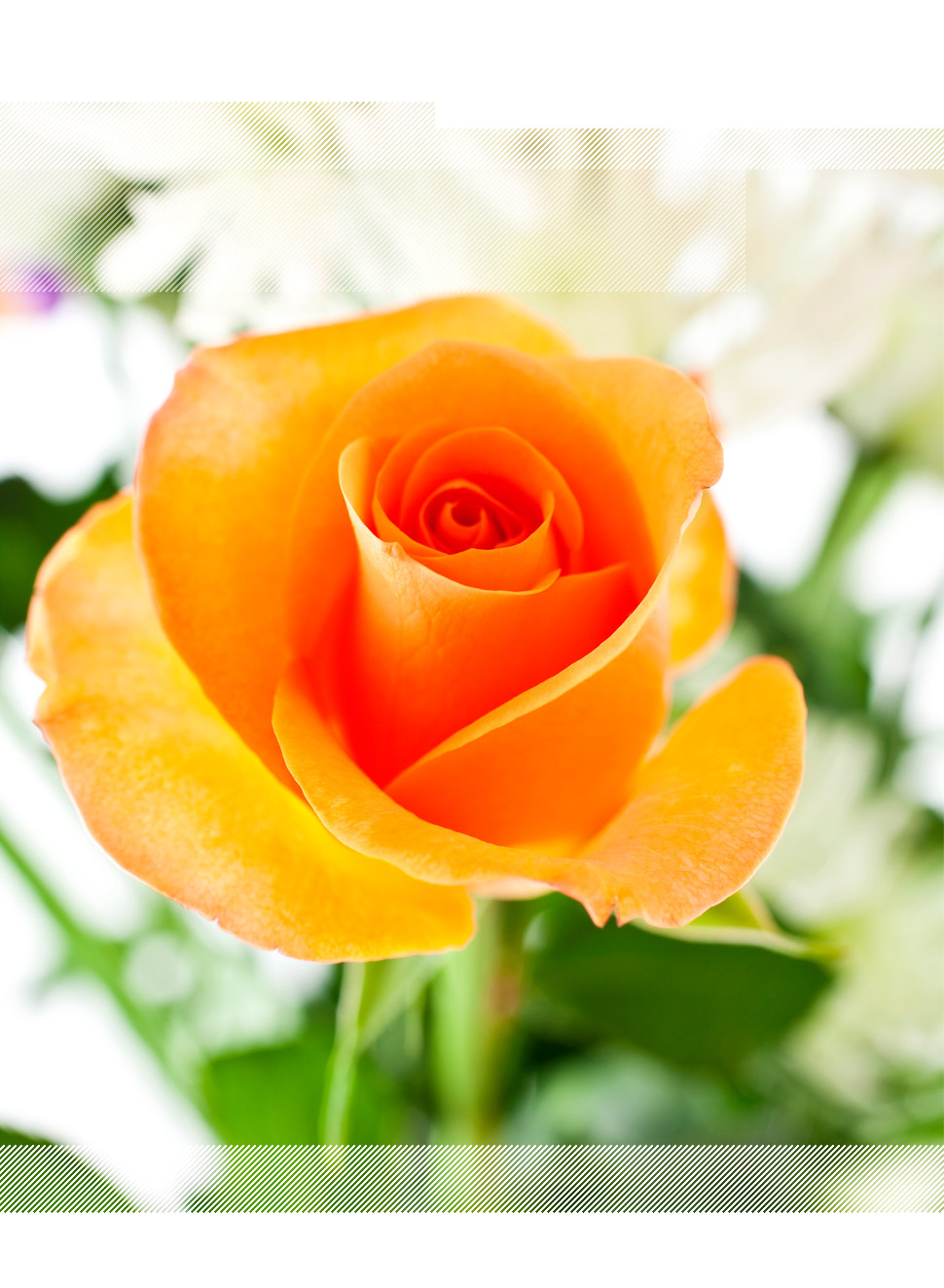 Alix et Mathieu se marient !